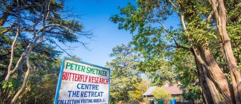 Butterfly Research Center