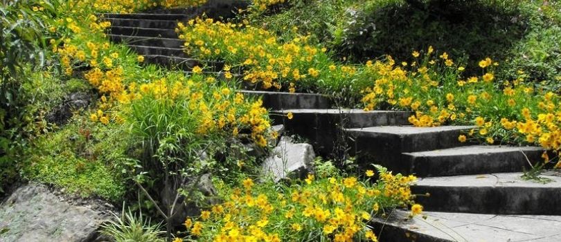 Namchi Rock Garden