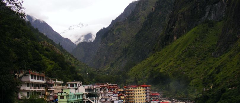 Blossoms - Blessings Valley Of Flowers - Hemkund Sahib By Trek Tour