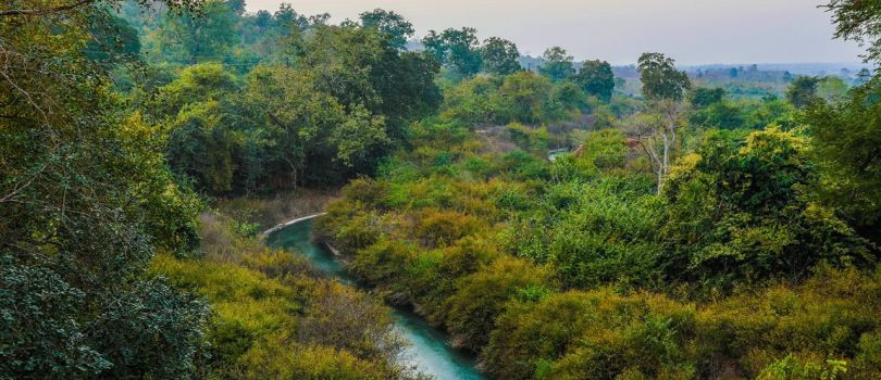 Pakhal Lake Wildlife Sanctuary