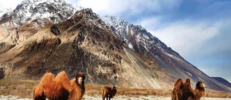 Hemis National Park