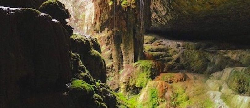 Alfred Caves