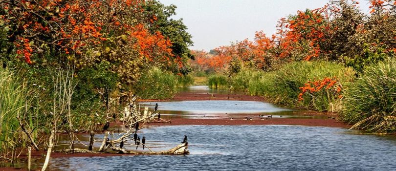 Top Tourist Places To Visit in Dhar