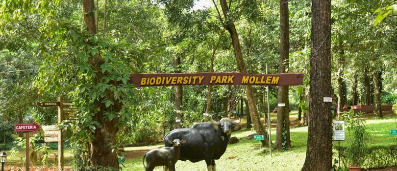 Mollem National Park