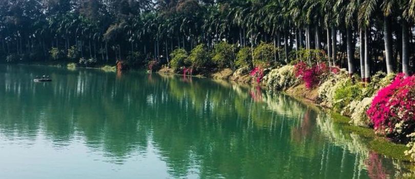 Mirasol Lake Garden