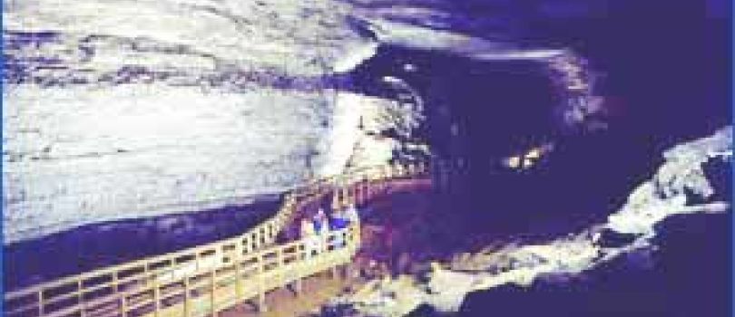 Mammoth Cave