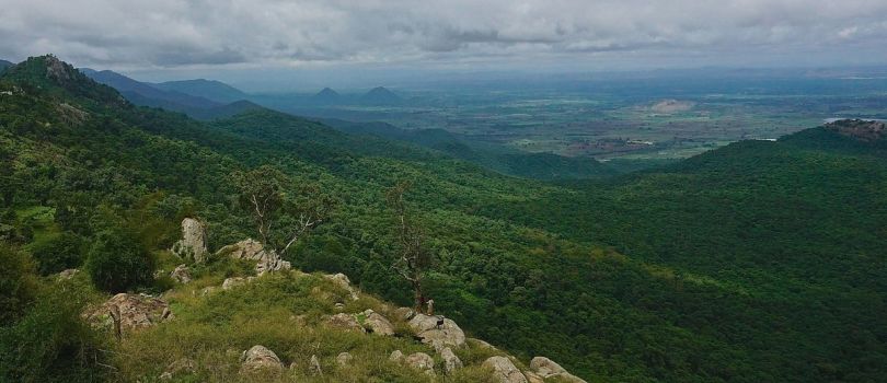 Biligiriranga Hills