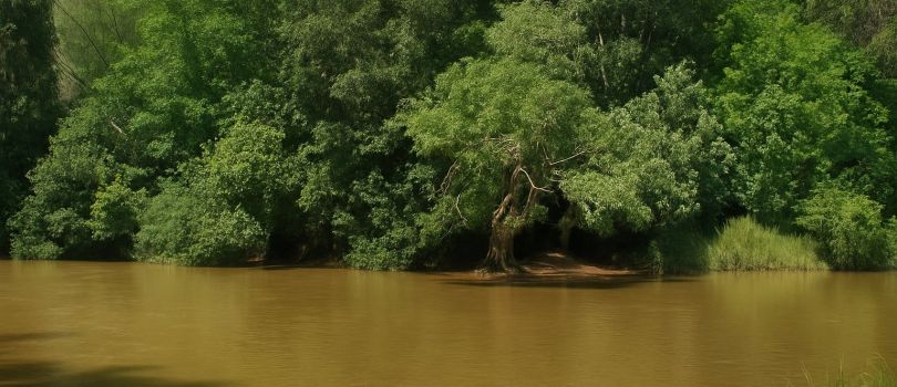 6 Days Budget Tour - Wayanad