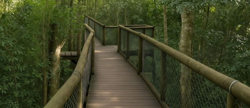 Dlinza Forest Nature Reserve