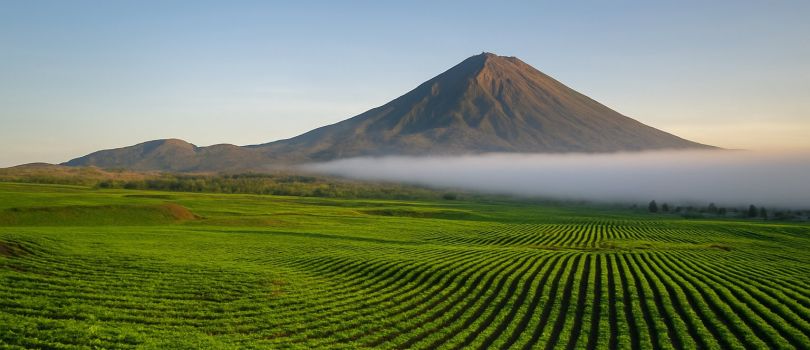 Kerinci Seblat National Park
