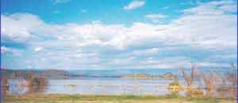 6 Days Birding Trip Tour