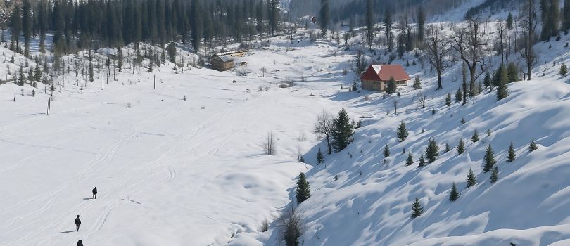 Kothi Village