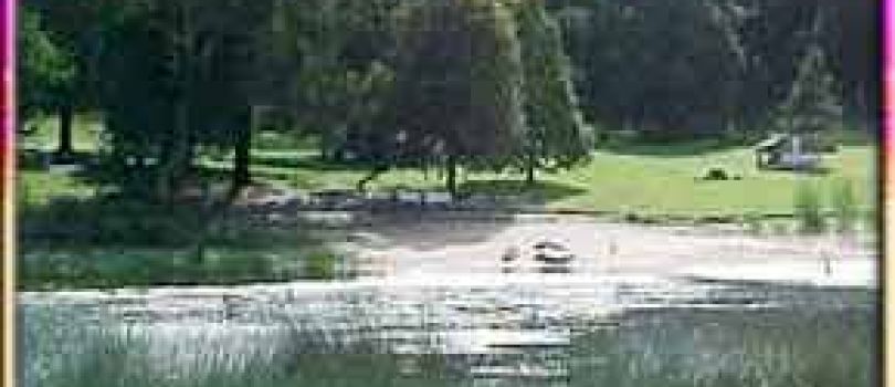 Davies Creek National Park