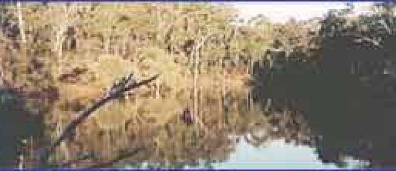 Lesueur National Park