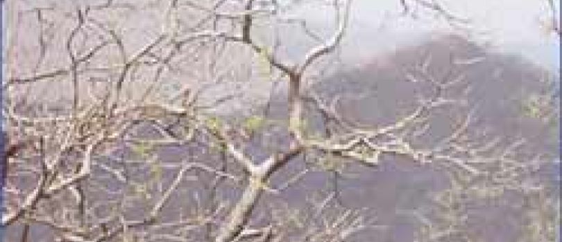 10D Rajasthan Royale - Forts - Palaces Tour