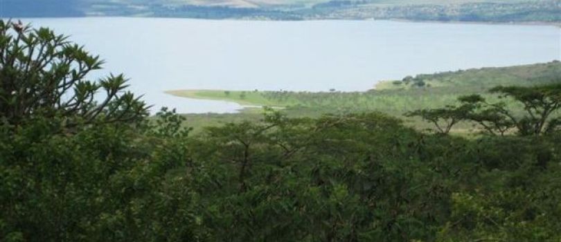 Albert Falls Dam Nature Reserve