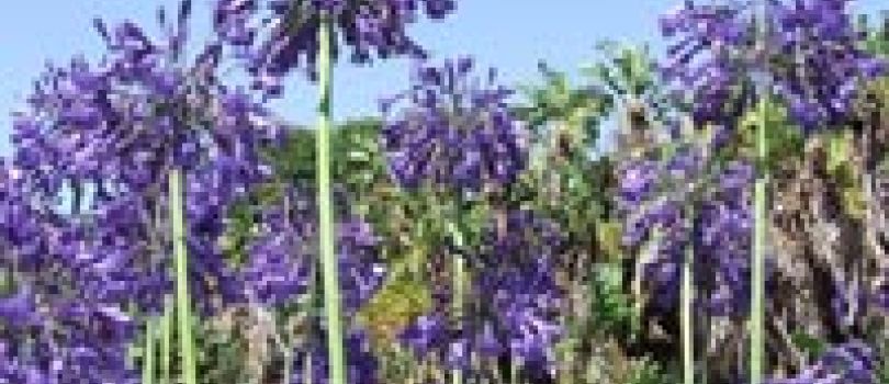 Cape Town Discovery Itinerary Tour