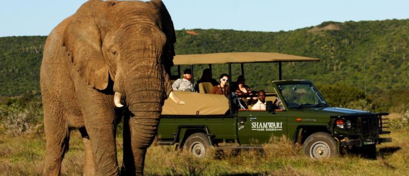 Shamwari Game Reserve