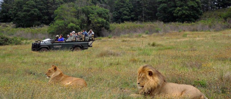 Gondwana Private Game Reserve