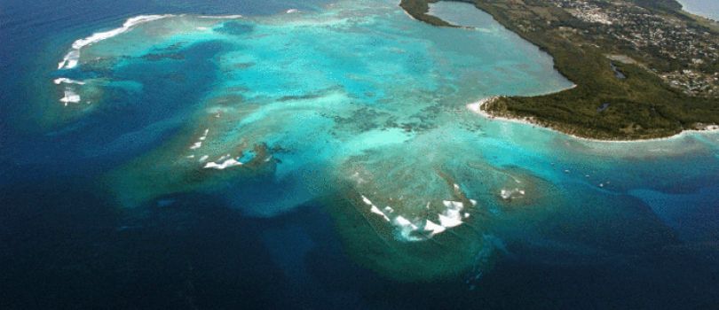 Buccoo Reef (Tobago, Trinidad and Tobago)