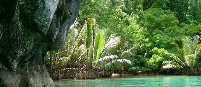 River Gambia National Park