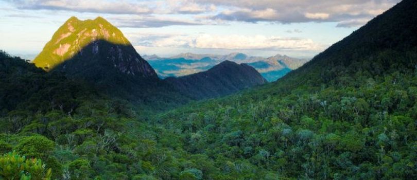 Masoala National Park