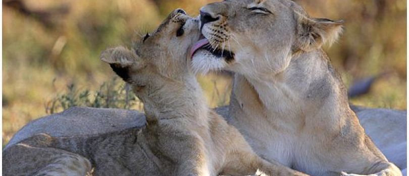 Boucle du Baoule National Park