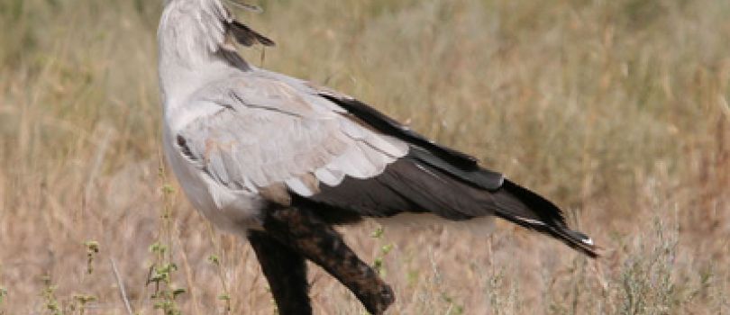 Kamuku National Park