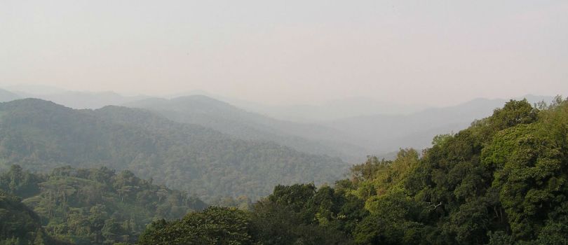 Nyungwe Forest National Park