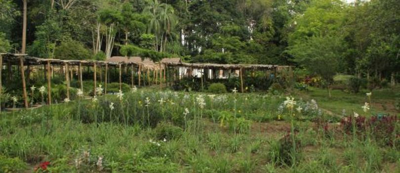 Kisantu Botanical Gardens