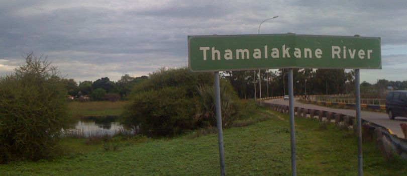 Thamalakane River