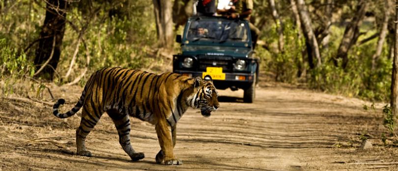 9N Rishikesh - Auli - Mussoorie - Corbett - Nainital Tour Ex - Delhi