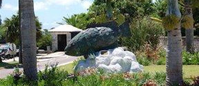 Bermuda Aquarium, Museum and Zoo (BAMZ)