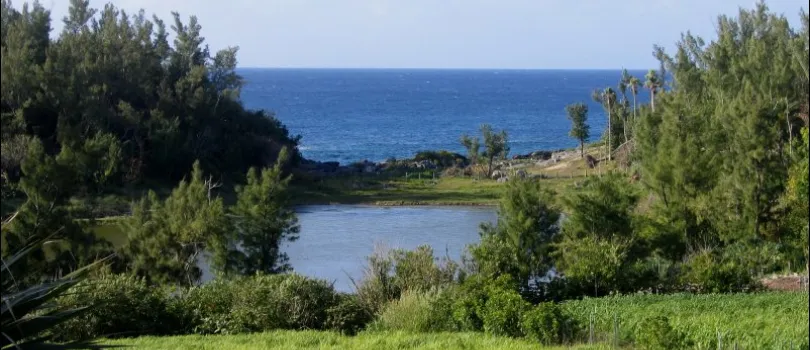 Spittal Pond Nature Reserve