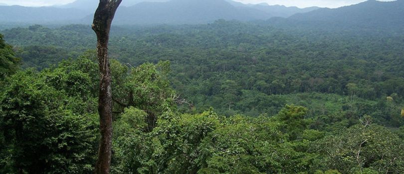 Rao Platano Biosphere Reserve