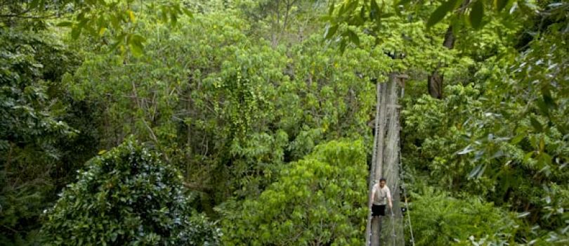 Le Pupu Pue National Park