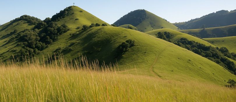 The Green Hills Of Africa
