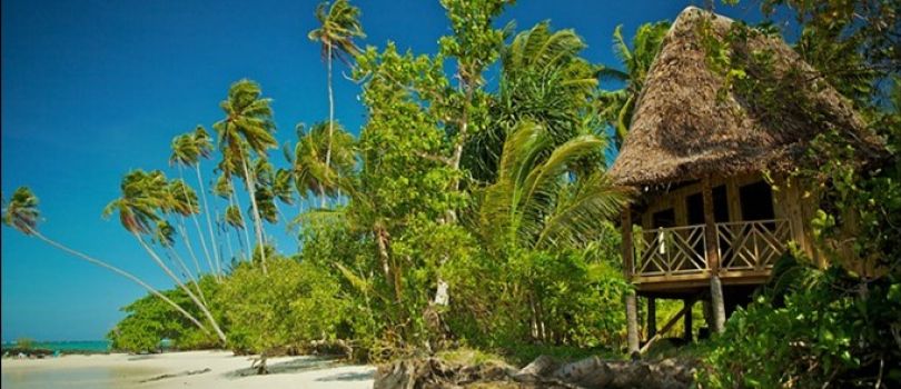 Saanapu and Sataoa Mangroves