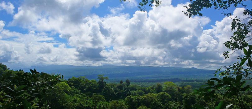 Tafua Peninsula Rainforest Preserve
