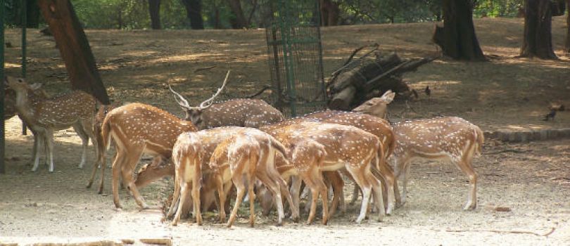 Nainital Tour Package