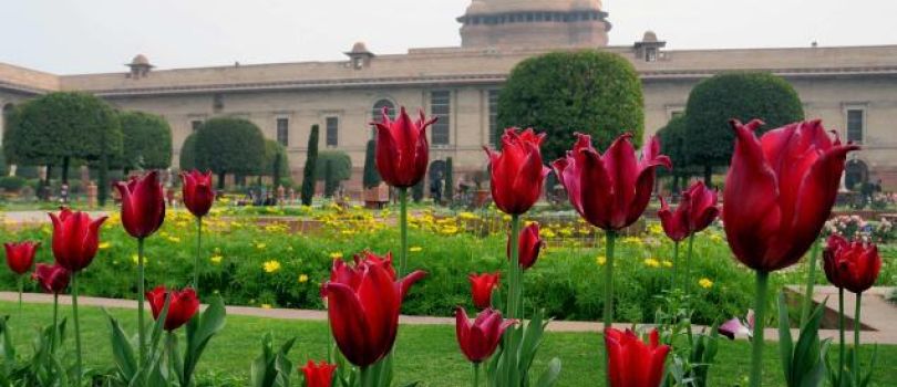 Jammu and Kashmir Tour