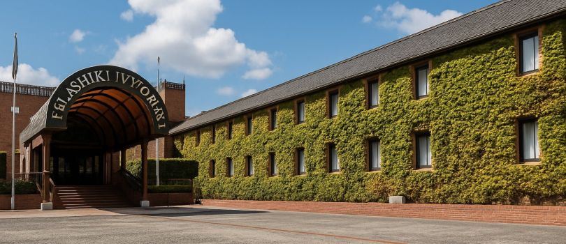 Ivy Square