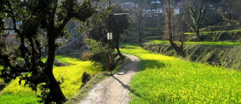 Kareri Lake Trek, Mcleodganj Kareri Lake Trek, Mcleodganj Tour