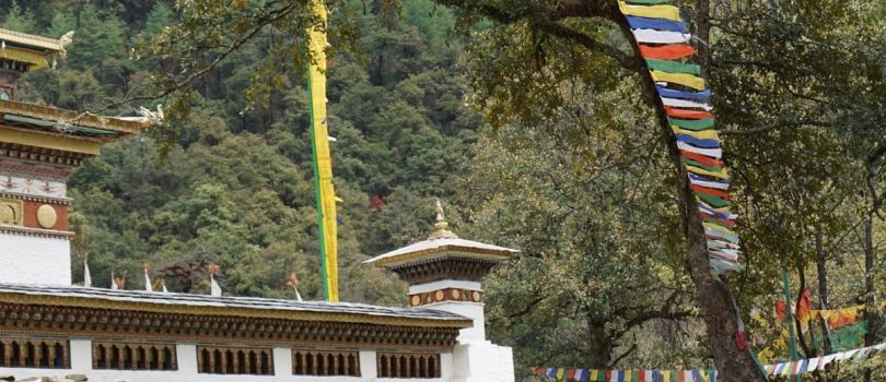 Jigme Dorji National Park