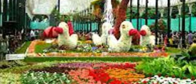 Bangalore - Mysore - Ooty - Kodaikanal Tour
