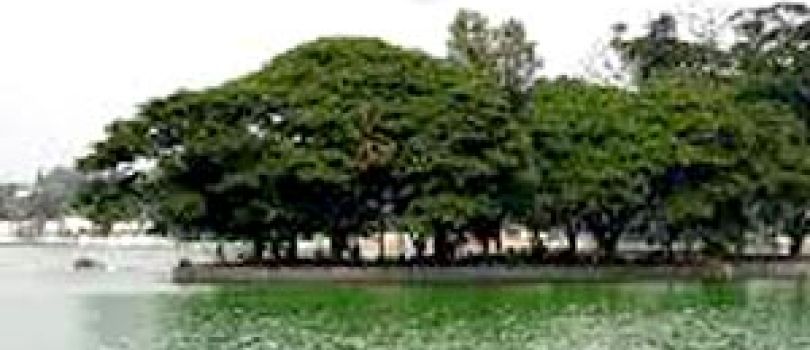 Bangalore Mysore Ooty Tour