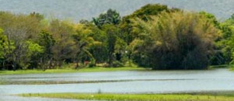 4N Mysore - Coorg - Bandipur Tour