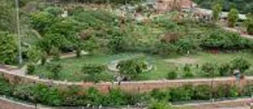 Exclusive Rajasthan Tour