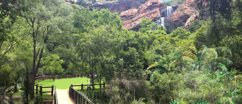 Walter Sisulu National Botanical Garden