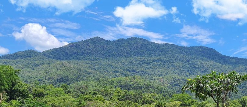 3 Days Mayurbhanj Budget Tour Package